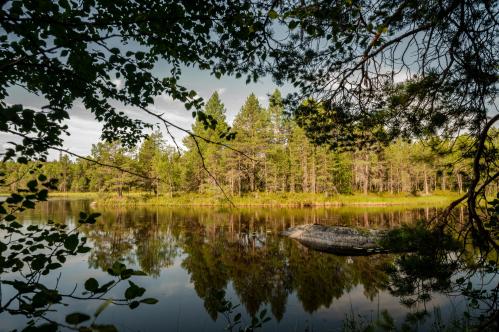 ������ �������