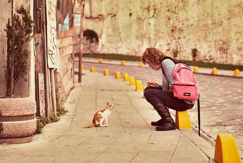 ��� �����������