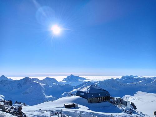 ���� ������� 