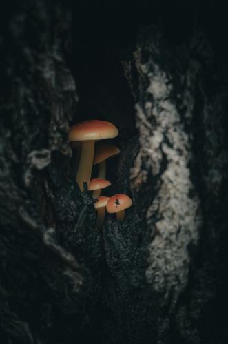  :   