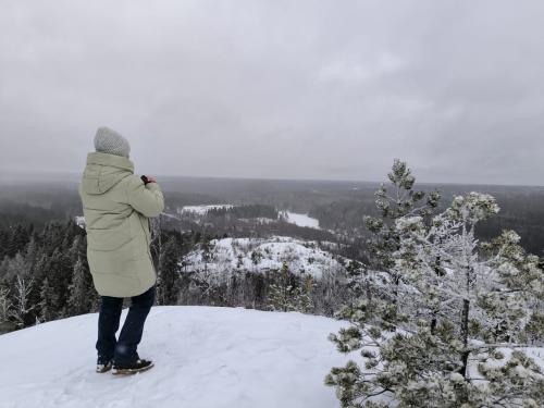 ���������� ��������