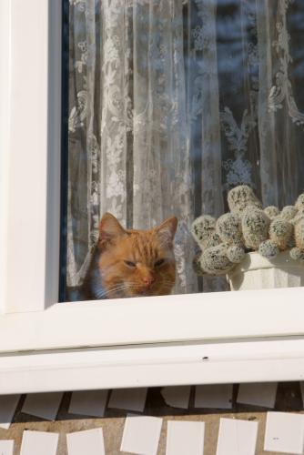 ���� ����