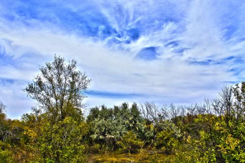 ������� �������