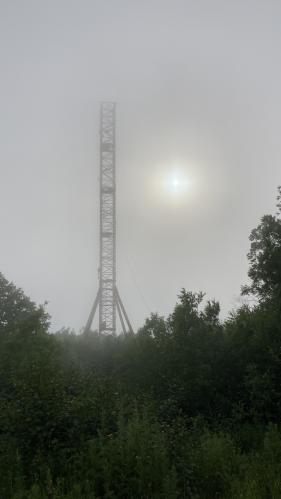 1741815137