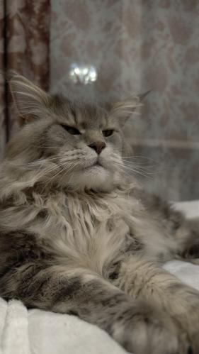 ��� ���������� ���