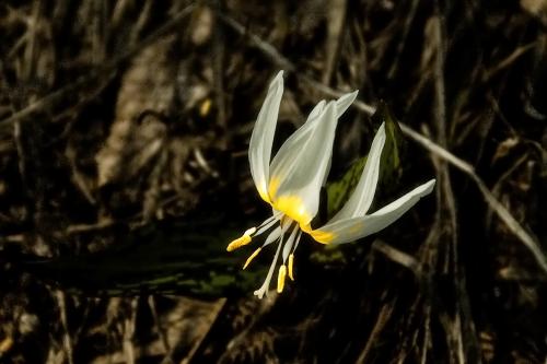 ���������� 4