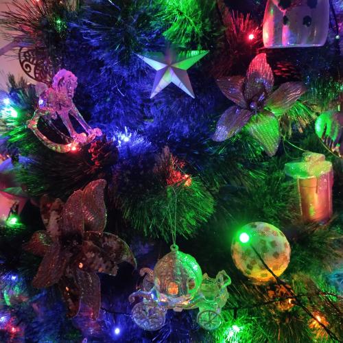 ������ � ��� ��������