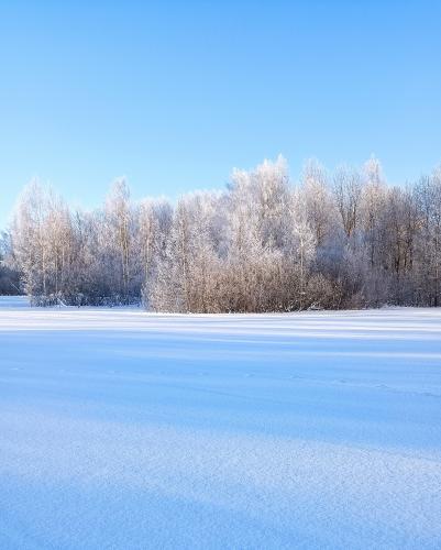 � �������� ����