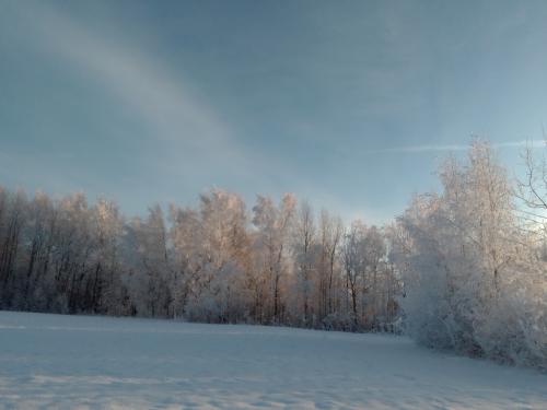 � ����� ��������� ������