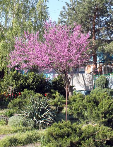 �������� ������