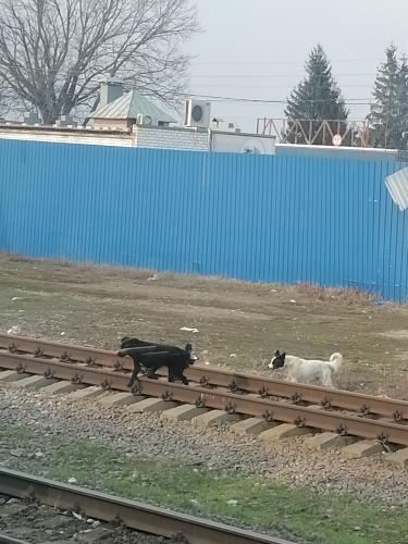 Нарушители