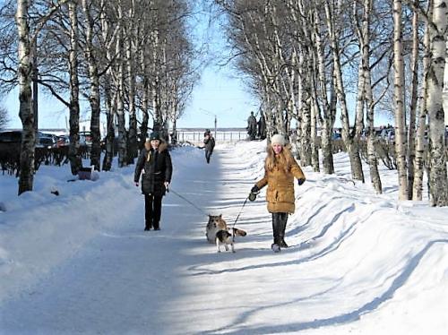 �������� � ��������.