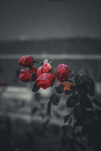 1744950357