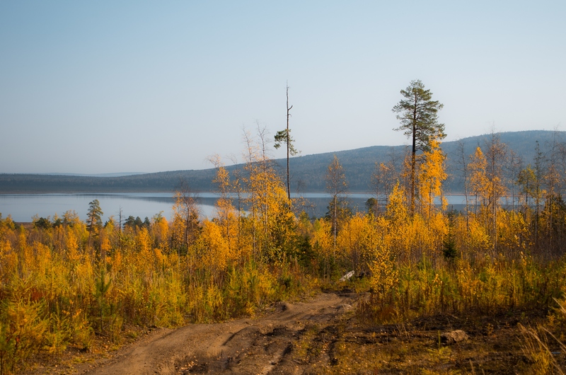 Осень В Тайге Фото