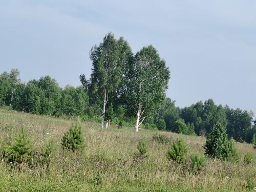 1746026231