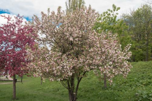 ����� ������