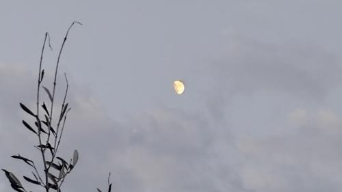 1746113092