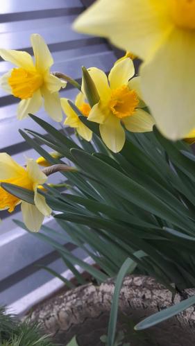 �������