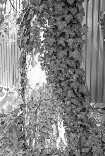 ����� � ����