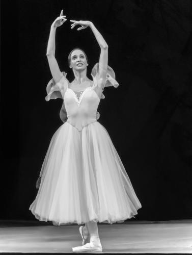 �������� ������