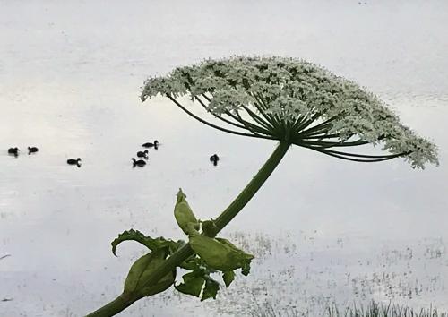 1747596284