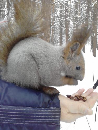 �����  � ����