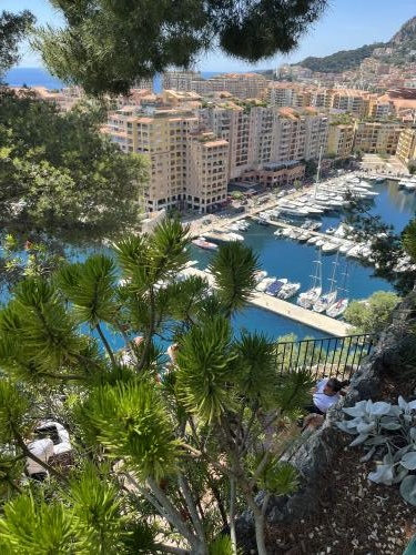  Montecarlo 