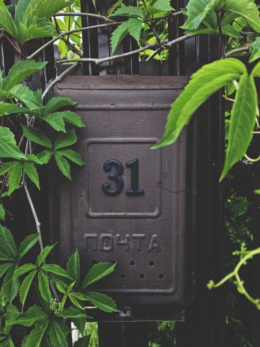 31 