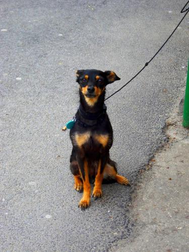 � ���� ������