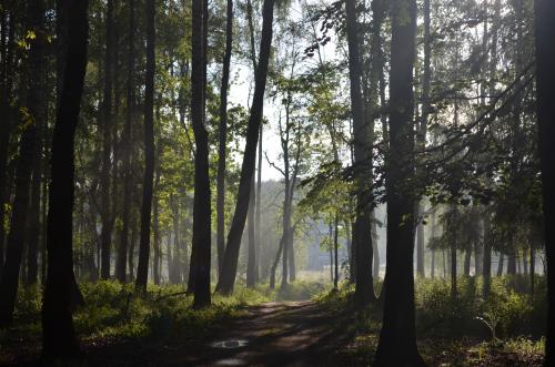 �������� ���