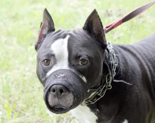 ������ �����