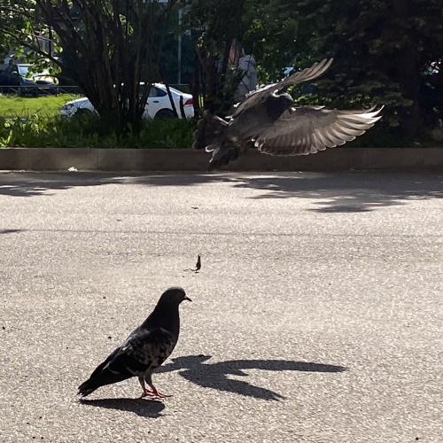 ��� ��� ����?