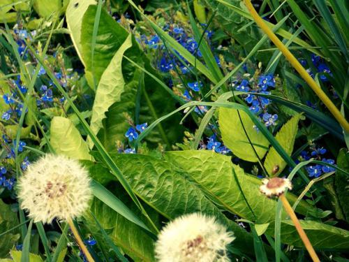 ������ �����