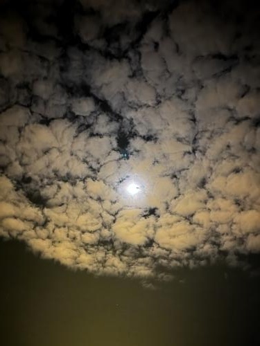 1750316813