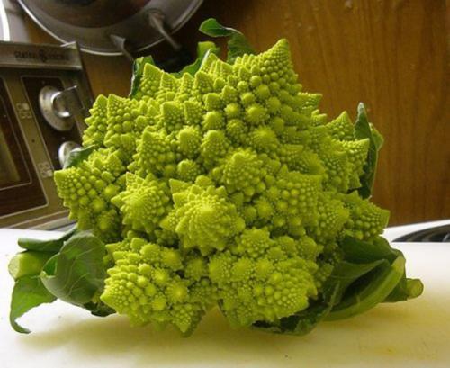 Romanescu