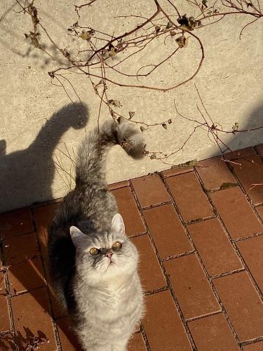 ��������� ������ 