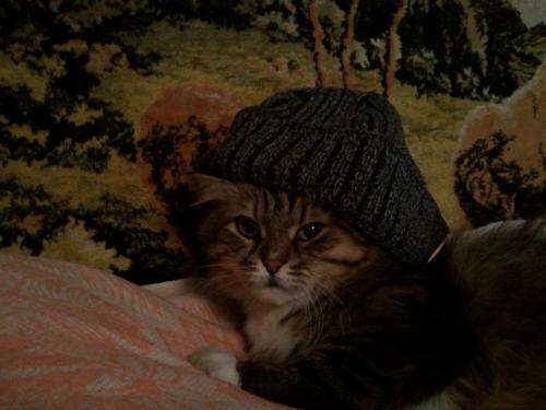 ������ ��������� ��������� �����