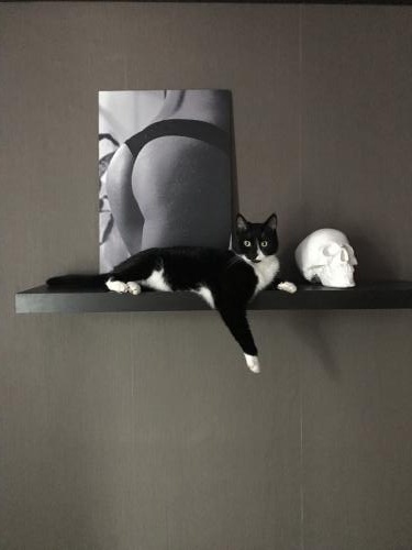     ..