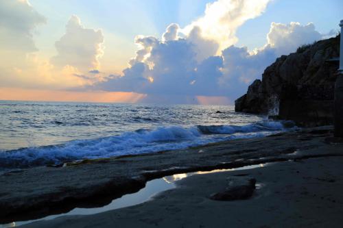 ���� ��������� ���