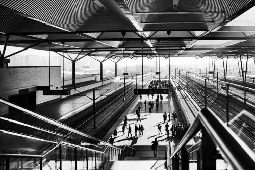 ��������������� ������� ������