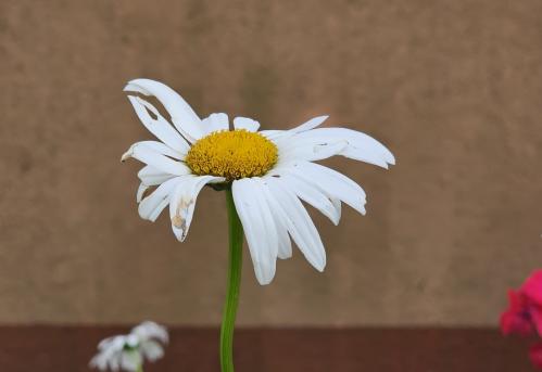 1753814422