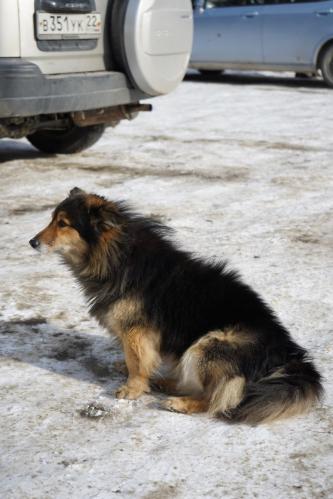 ������ �������� ���