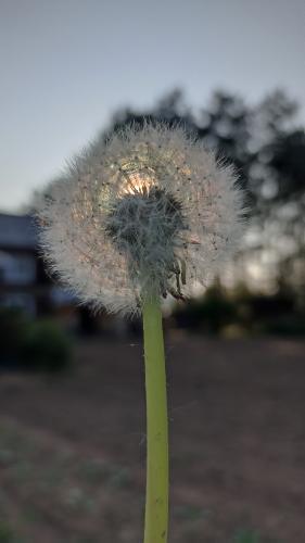 1754317670