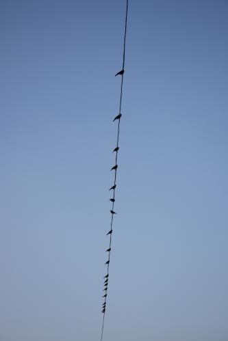 1754509573