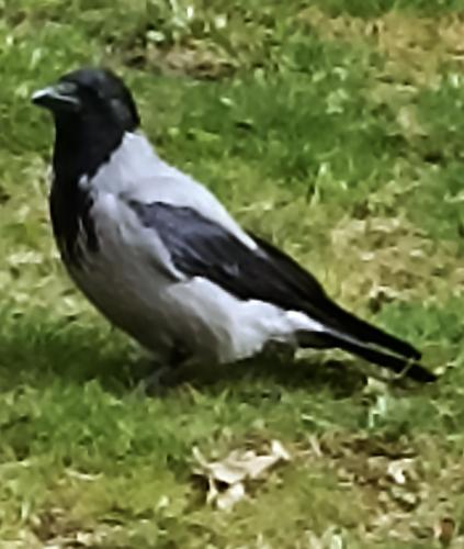 1755598415
