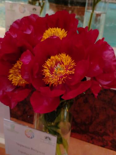 �� �������� ������