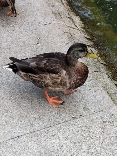 1756042354