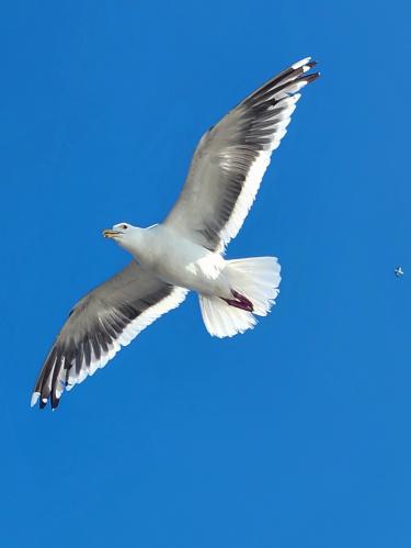 1756071570
