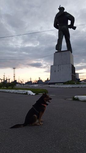 Doge