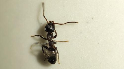 �������.